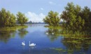 River with Swans I
