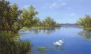 River with Swans II