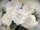 White Roses III
